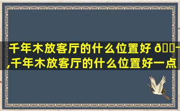 千年木放客厅的什么位置好 🐬 ,千年木放客厅的什么位置好一点